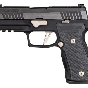 Alternative view of P320 AXG EQUINOX
