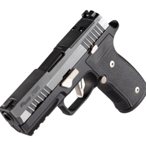 P320 AXG EQUINOX