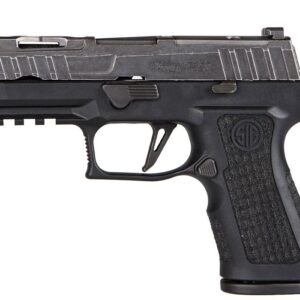 Alternative view of P320 XCOMPACT SPECTRE