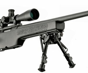 Alternative view of SIG SSG 3000