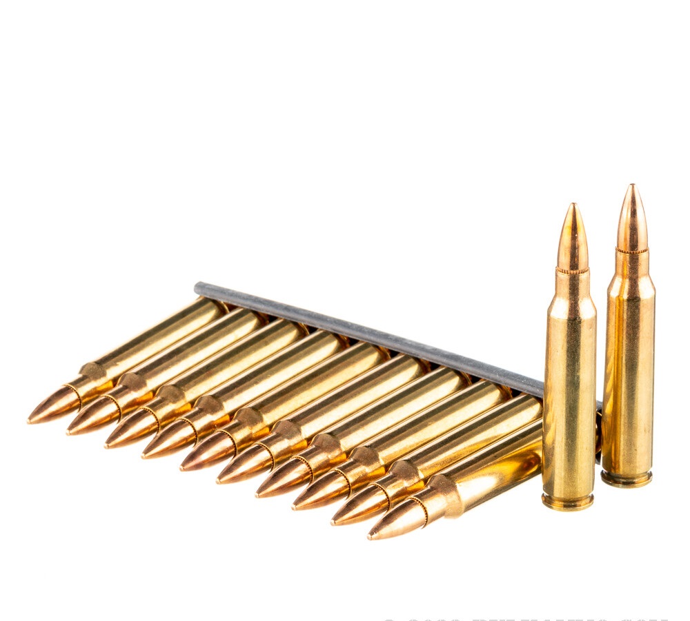 840 Rounds of .223 Ammo by PMC - Stripper Clip in Ammo Can - 55gr FMJBT - Image 2