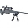 SIG SSG 3000