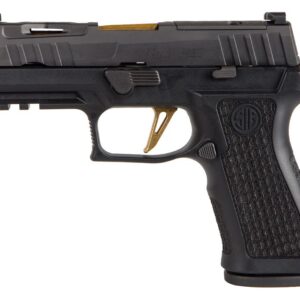 Alternative view of P320 XCARRY SPECTRE